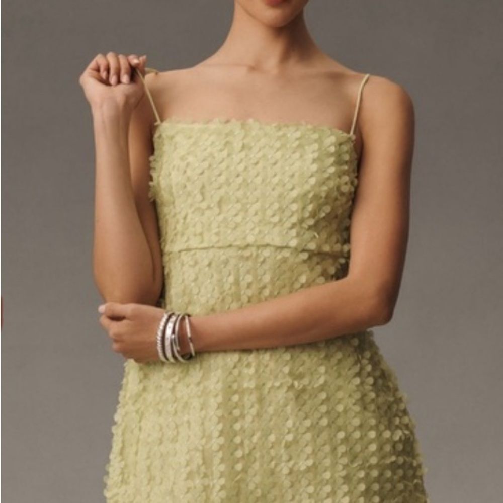 By Anthropologie 3D Floral Embellished Mini Dress